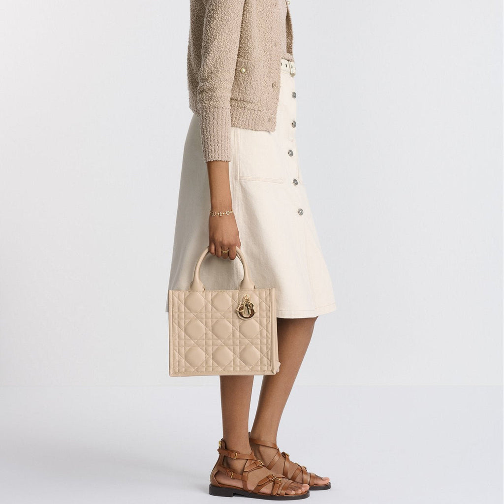 Sac Dior Book Tote Small