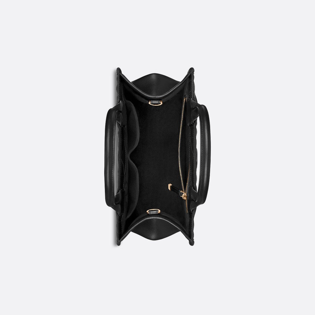 Sac Dior Book Tote Small