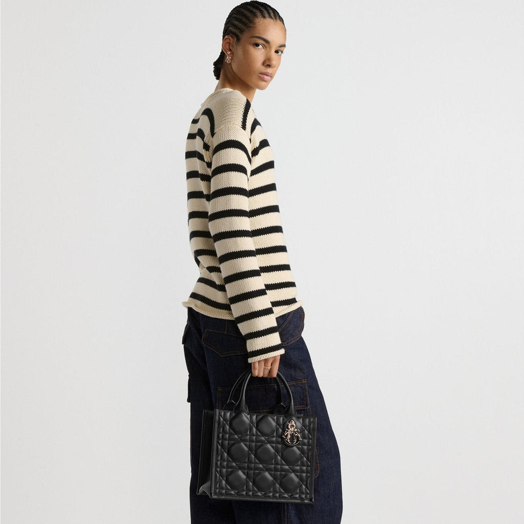 Sac Dior Book Tote Small