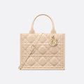 Sac Dior Book Tote Small
