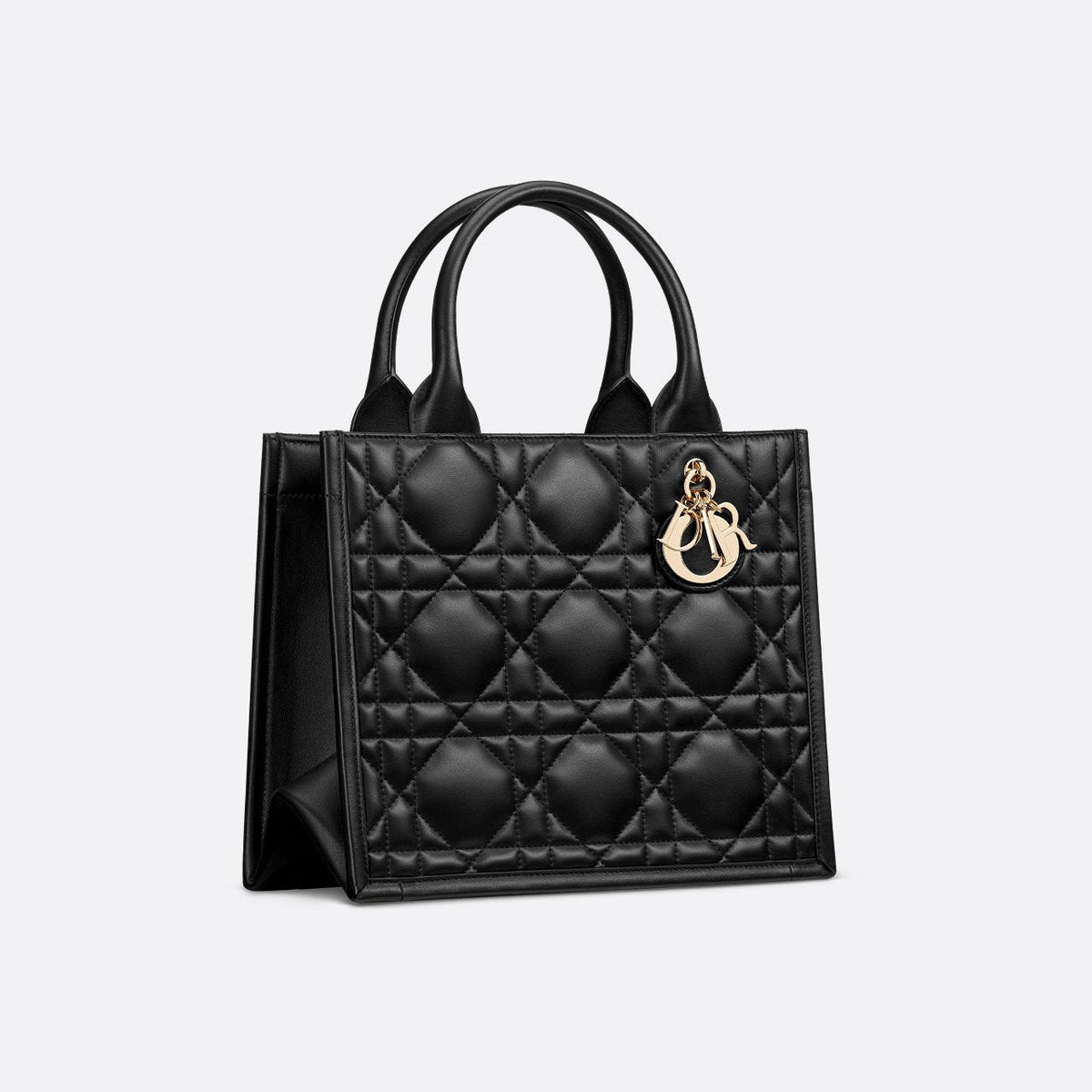Sac Dior Book Tote Small