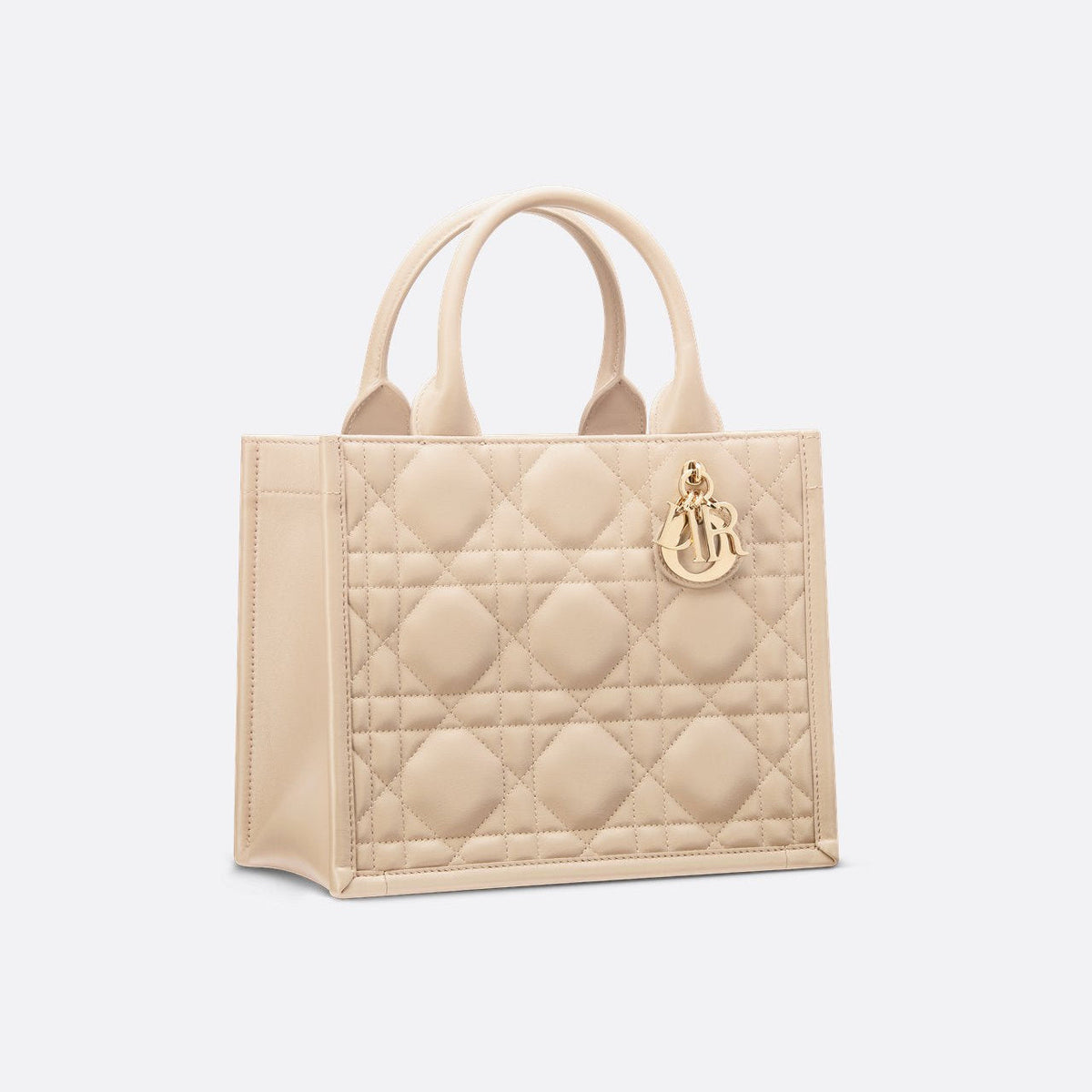 Sac Dior Book Tote Small