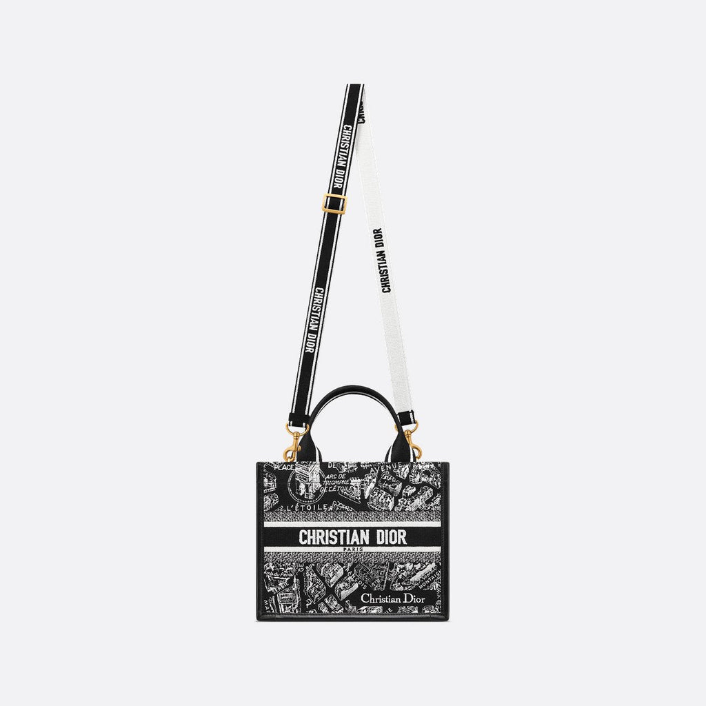 Sac Dior Book Tote Small