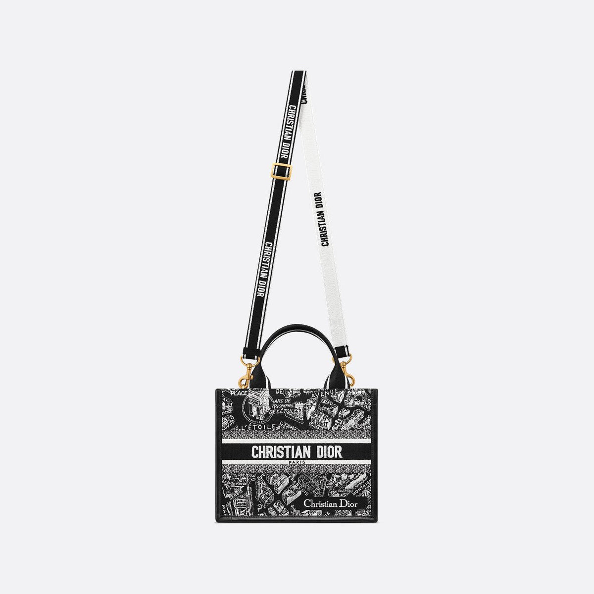 Sac Dior Book Tote Small