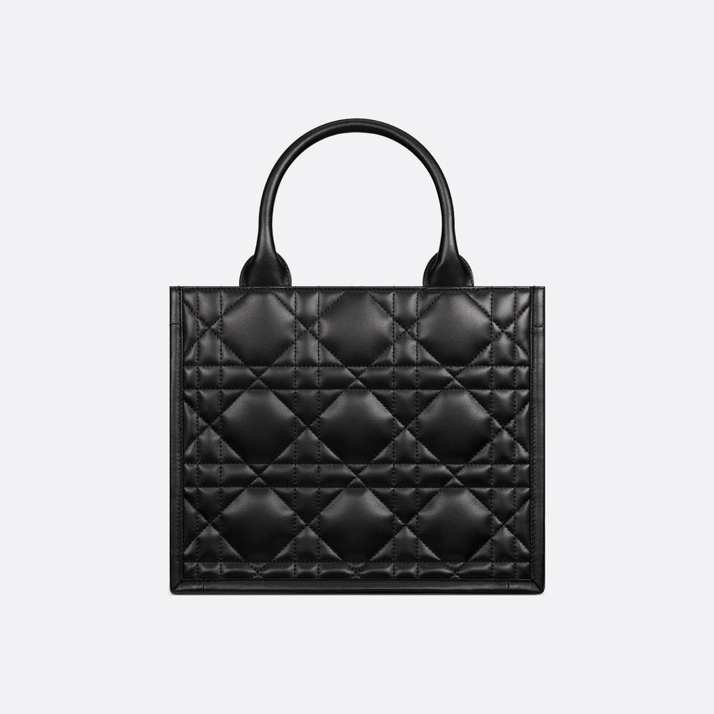 Sac Dior Book Tote Small