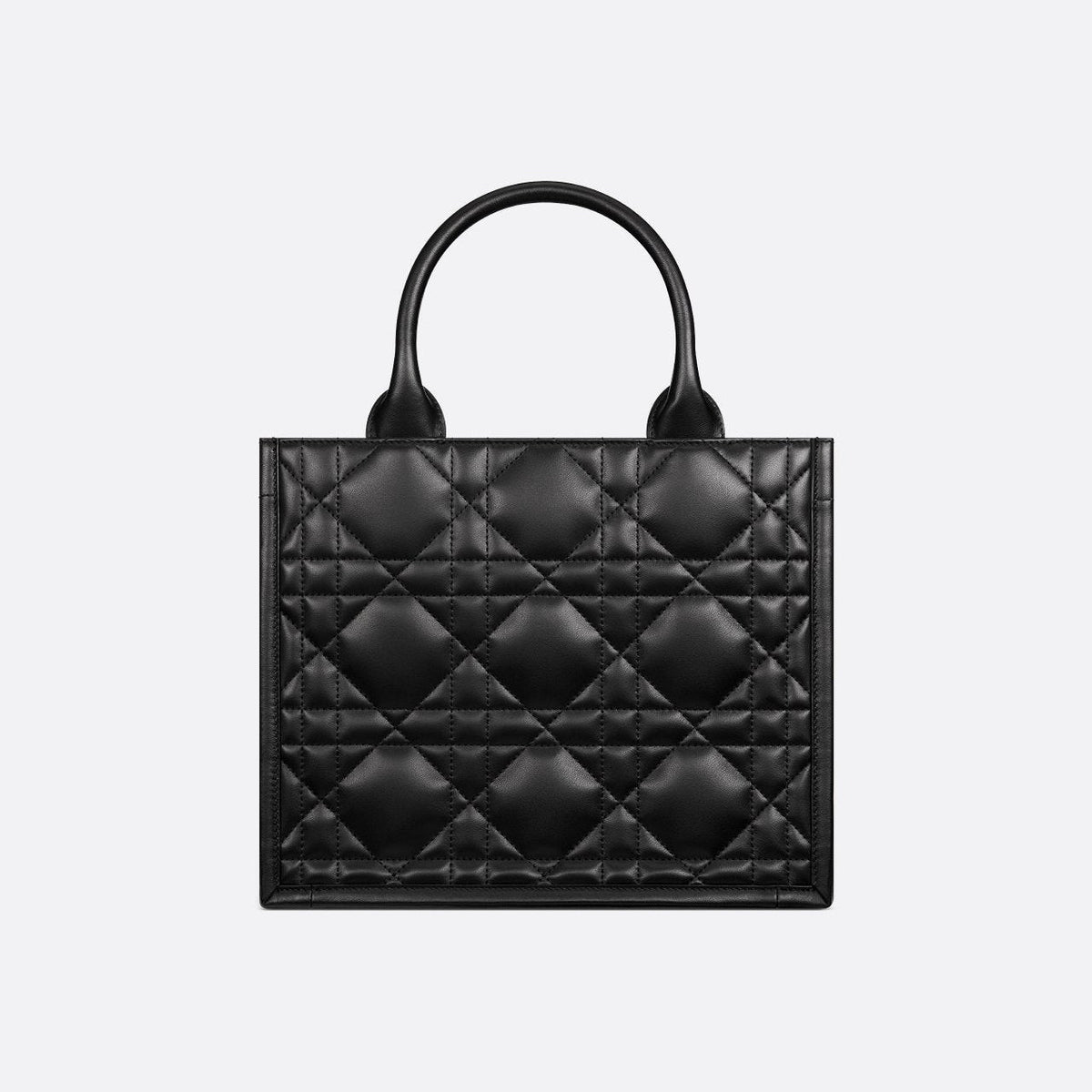 Sac Dior Book Tote Small