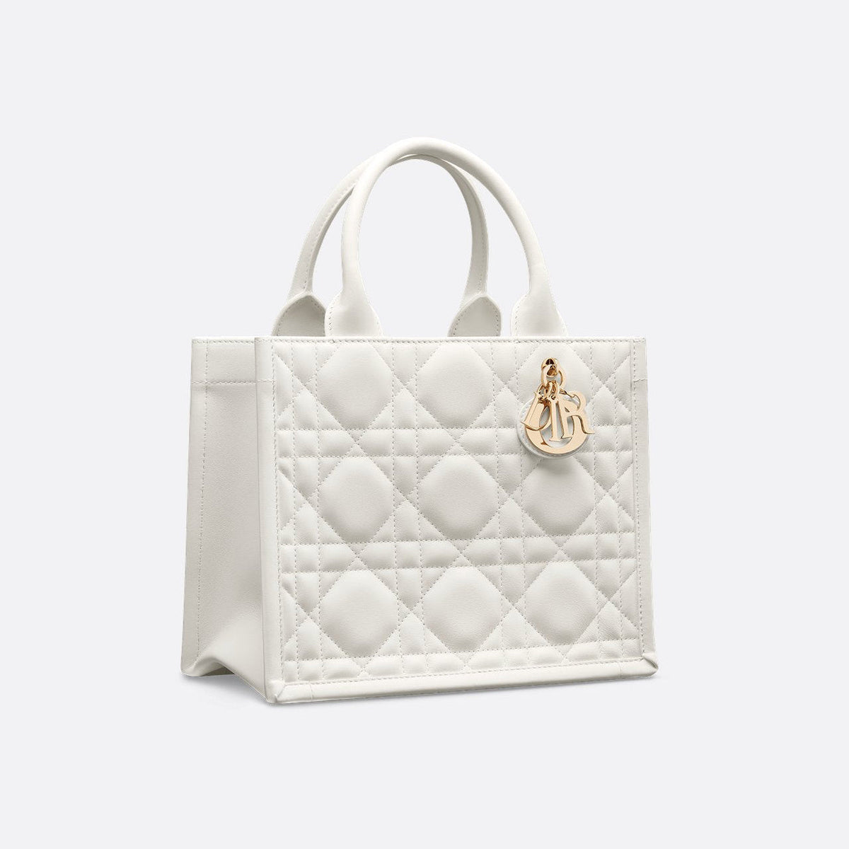 Sac Dior Book Tote Small