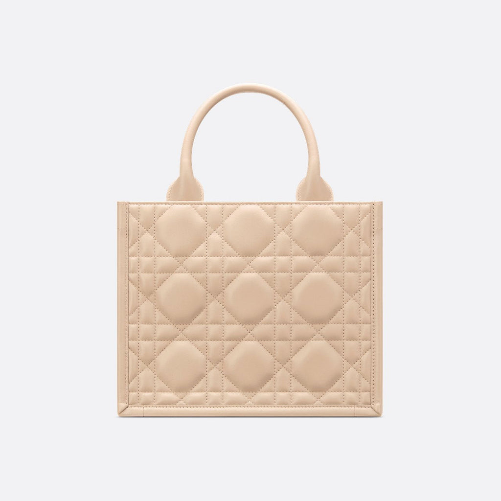 Sac Dior Book Tote Small