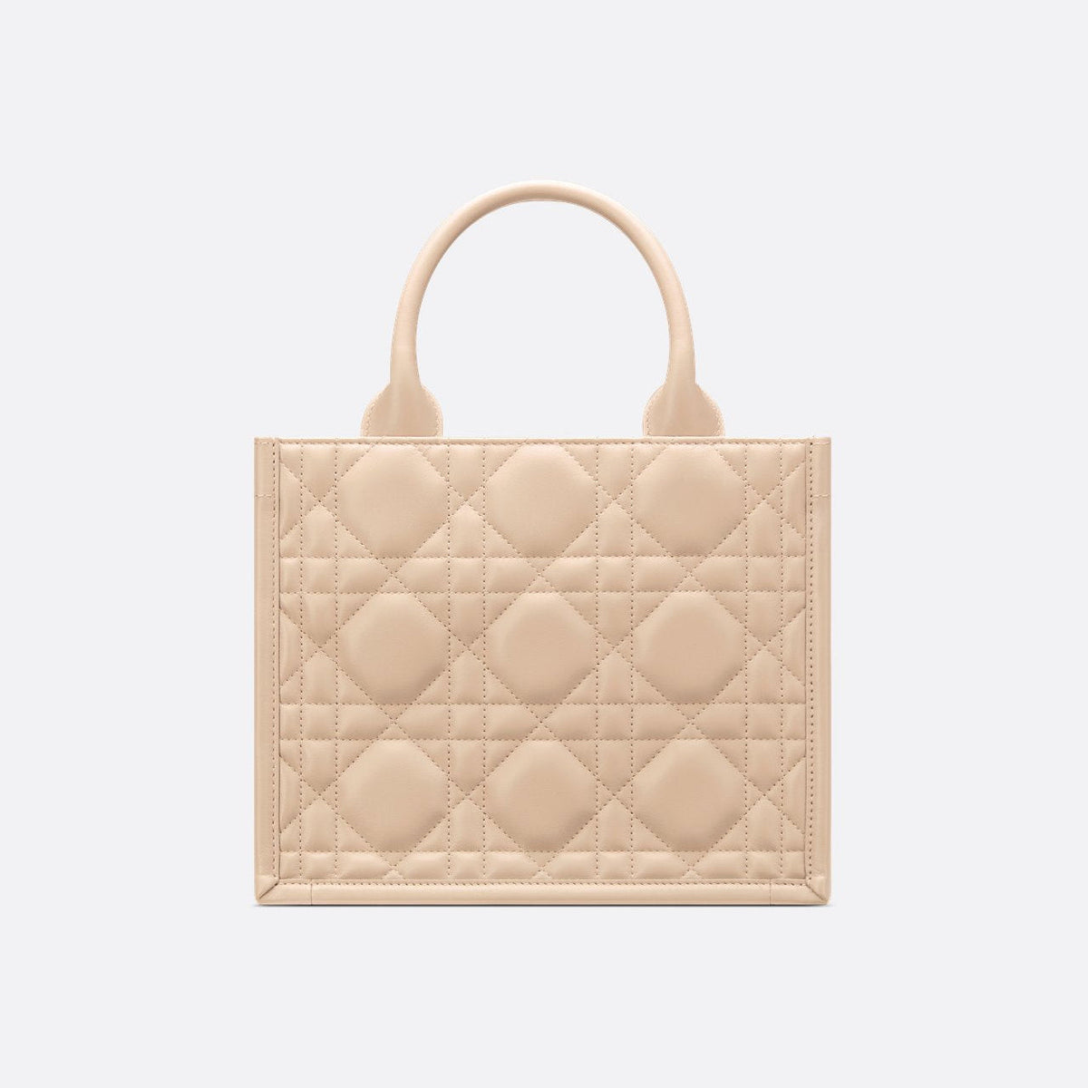 Sac Dior Book Tote Small