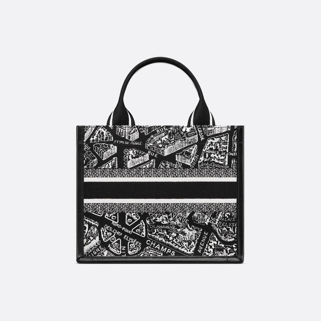 Sac Dior Book Tote Small