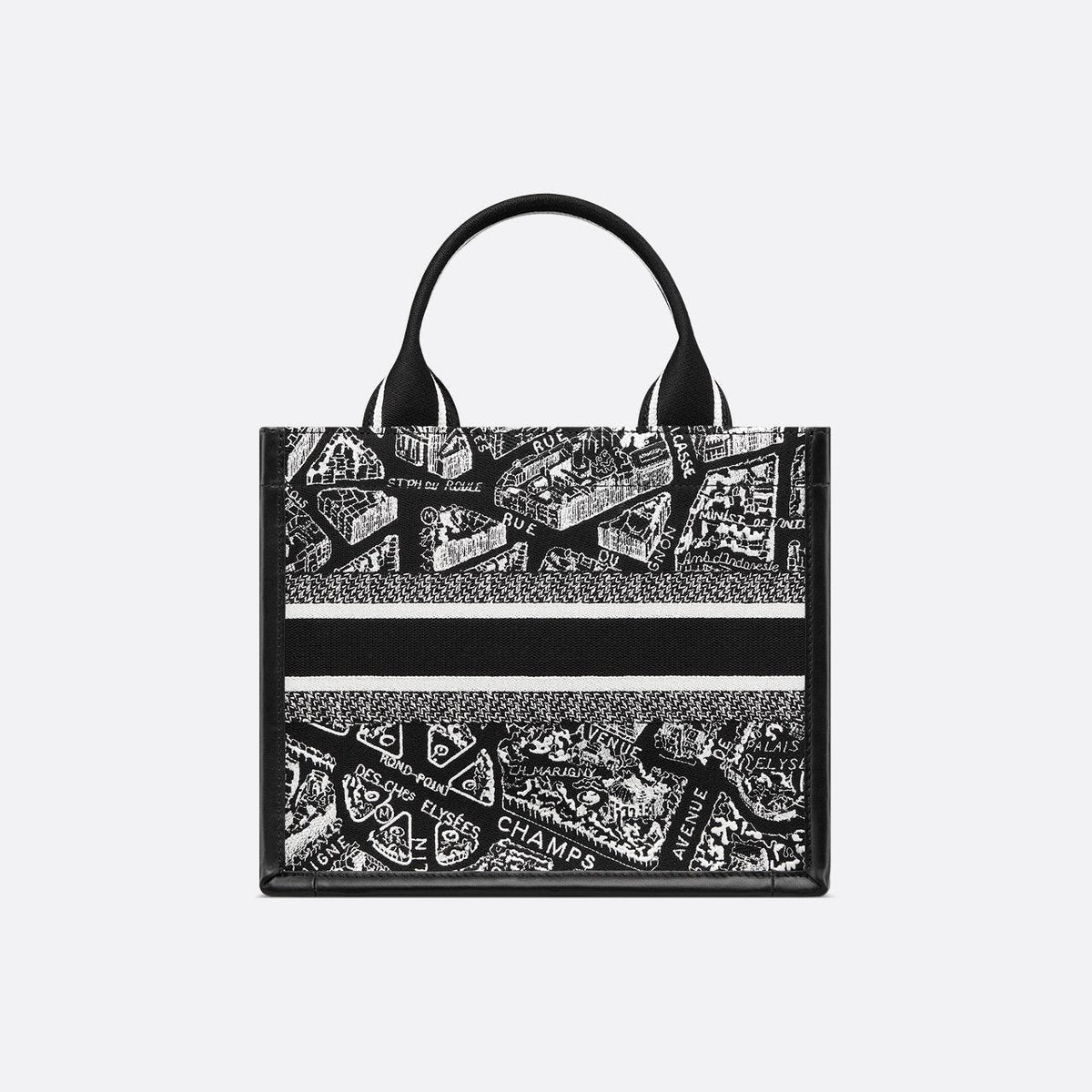 Sac Dior Book Tote Small