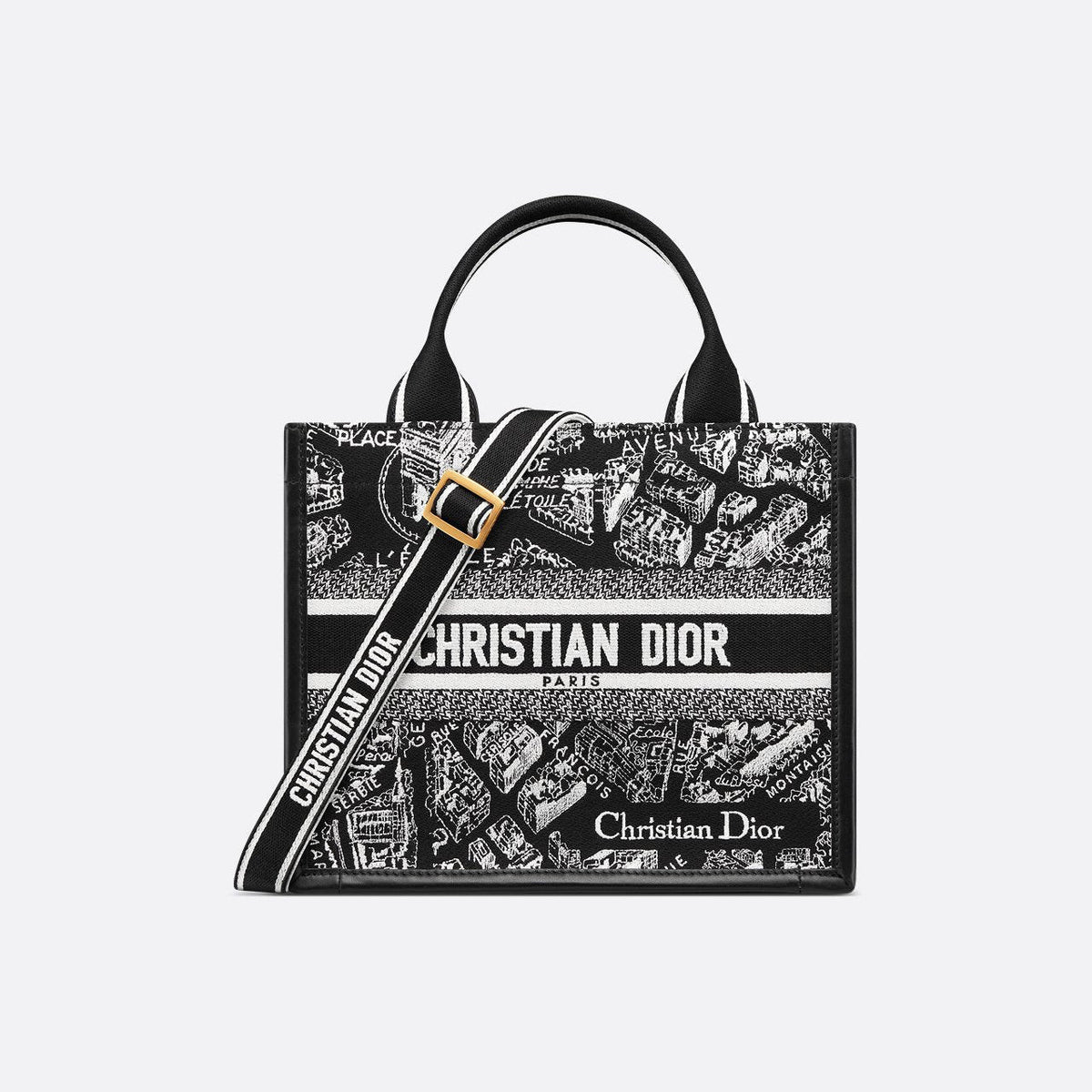 Sac Dior Book Tote Small