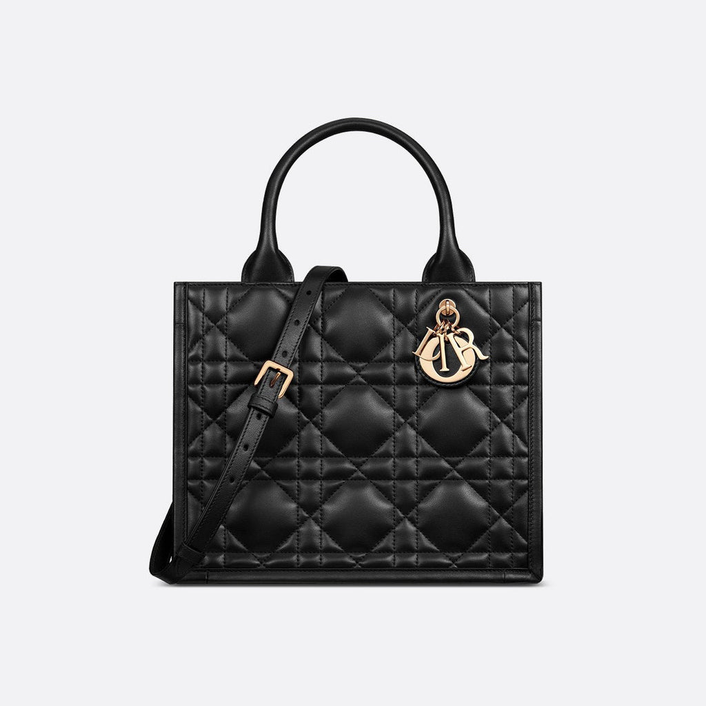 Sac Dior Book Tote Small