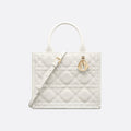 Sac Dior Book Tote Small