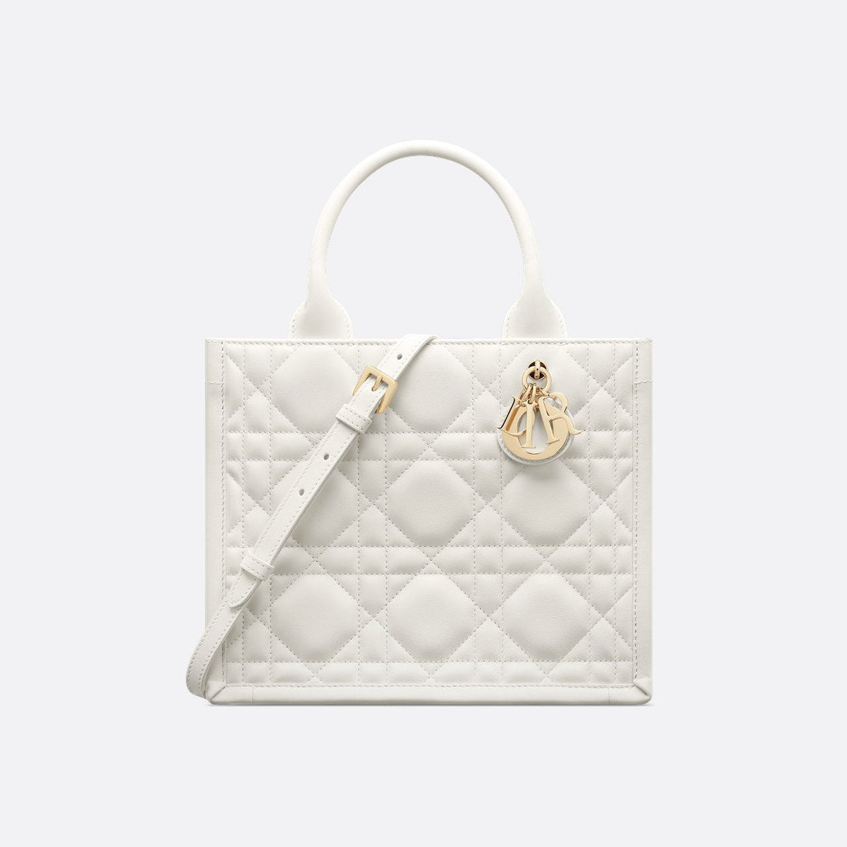 Sac Dior Book Tote Small