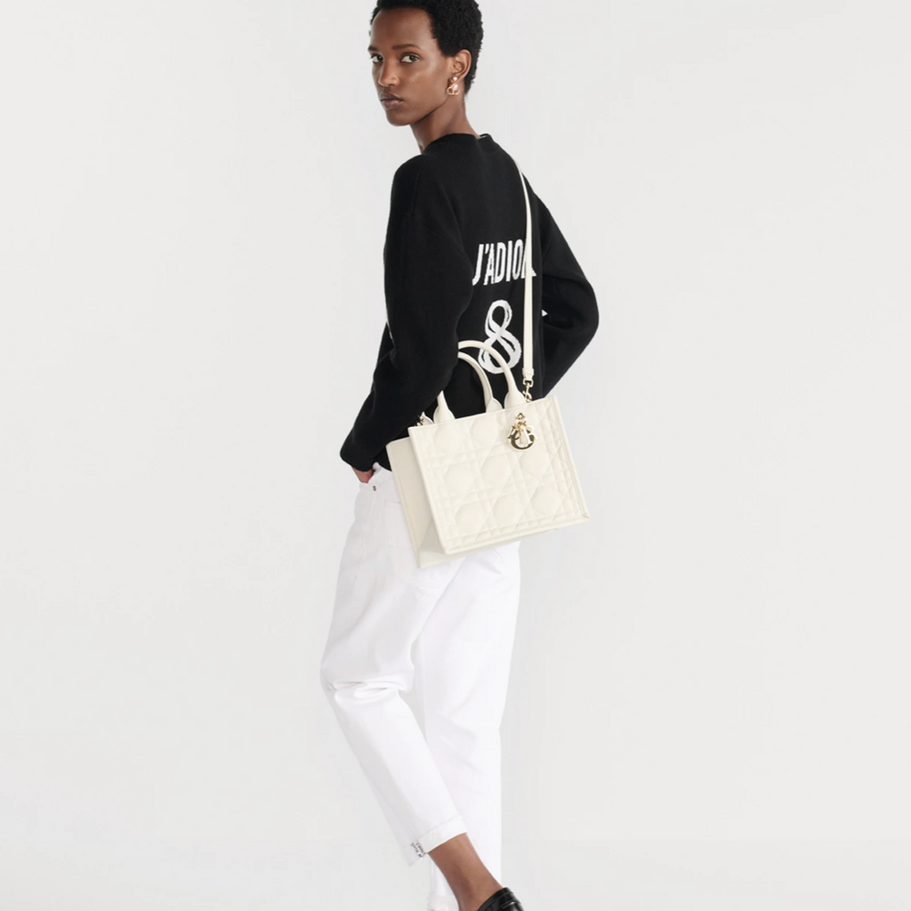 Sac Dior Book Tote Small