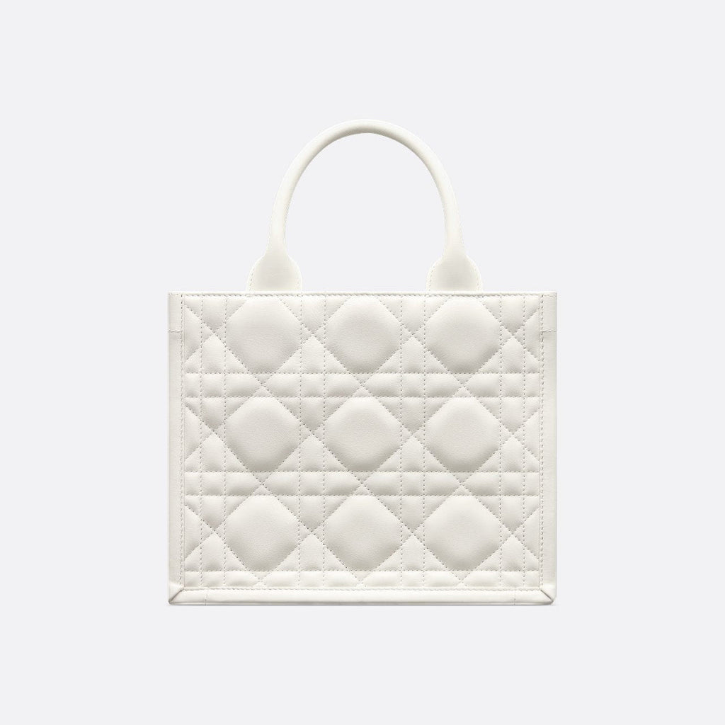 Sac Dior Book Tote Small