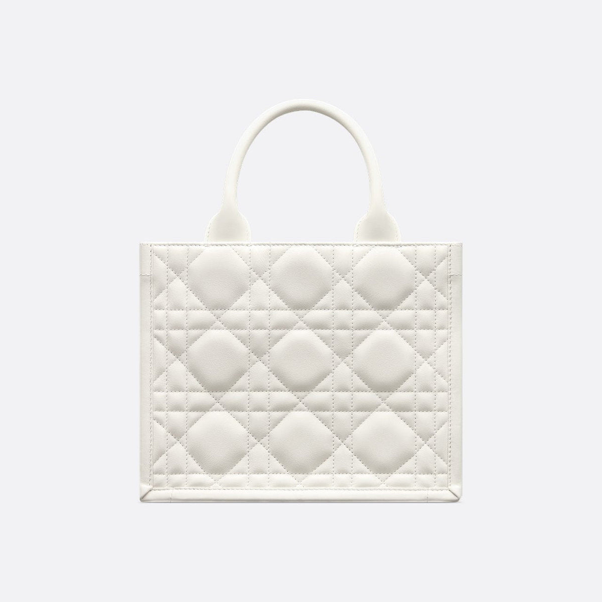 Sac Dior Book Tote Small