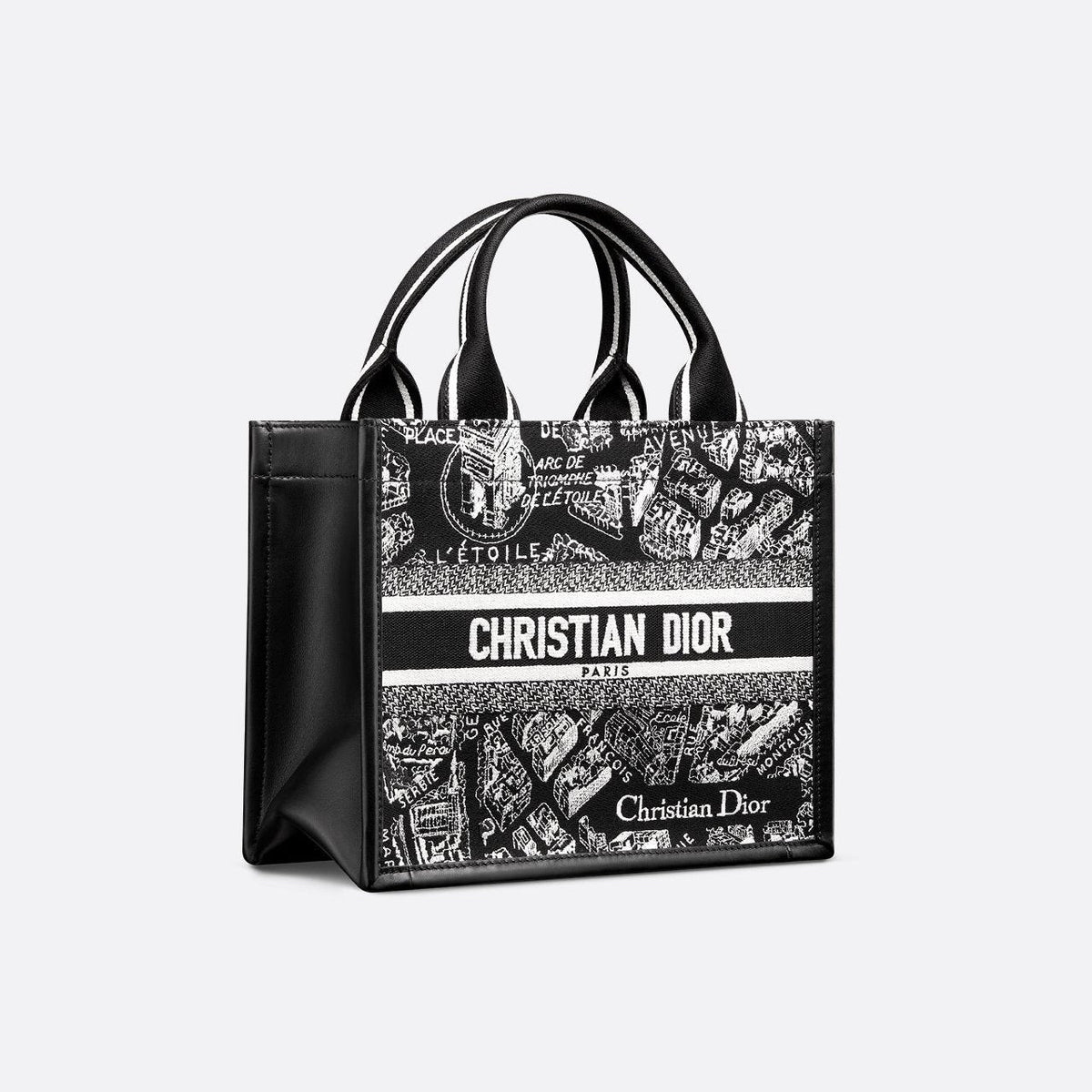 Sac Dior Book Tote Small